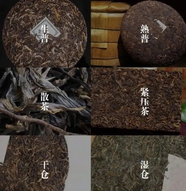 普洱茶不是越陳越香嗎？怎么也有最佳品飲期？