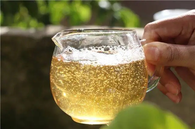 茶顏觀色”，看普洱茶條索里都蘊(yùn)含著怎樣的“密碼”？