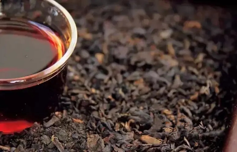 普洱生茶與熟茶那個減肥效果好？