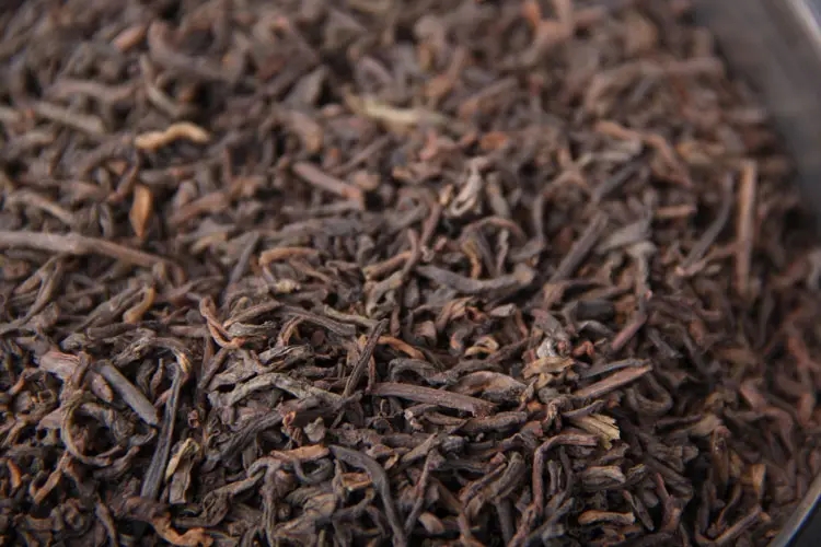 品懂熟茶丨新制的熟茶怎么品評？