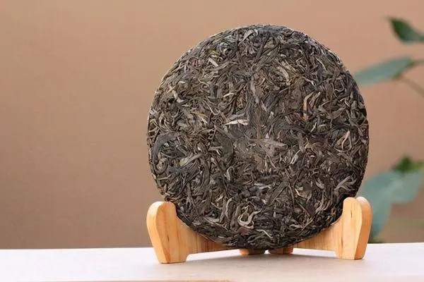 普洱茶入門首要問題，弄清楚，才能喝好茶