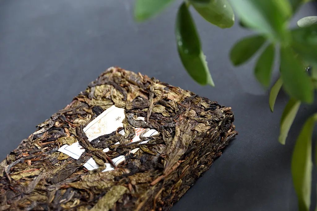 普洱茶古樹黃片，性價比超高的口糧茶，有骨有肉香甜順