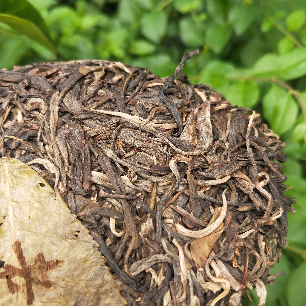 2023年班盆古樹春茶多少錢一公斤？