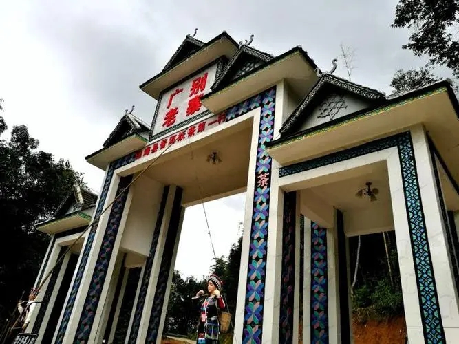 2023年廣別老寨古樹春茶品質(zhì)如何？