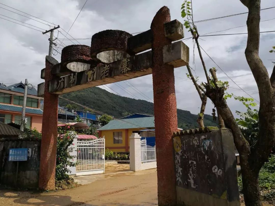 2023年廣別老寨古樹春茶價格多少？