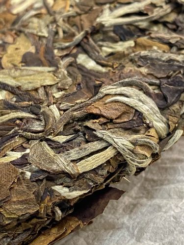 2023年拔瑪老寨古樹春茶特點(diǎn)是什么？