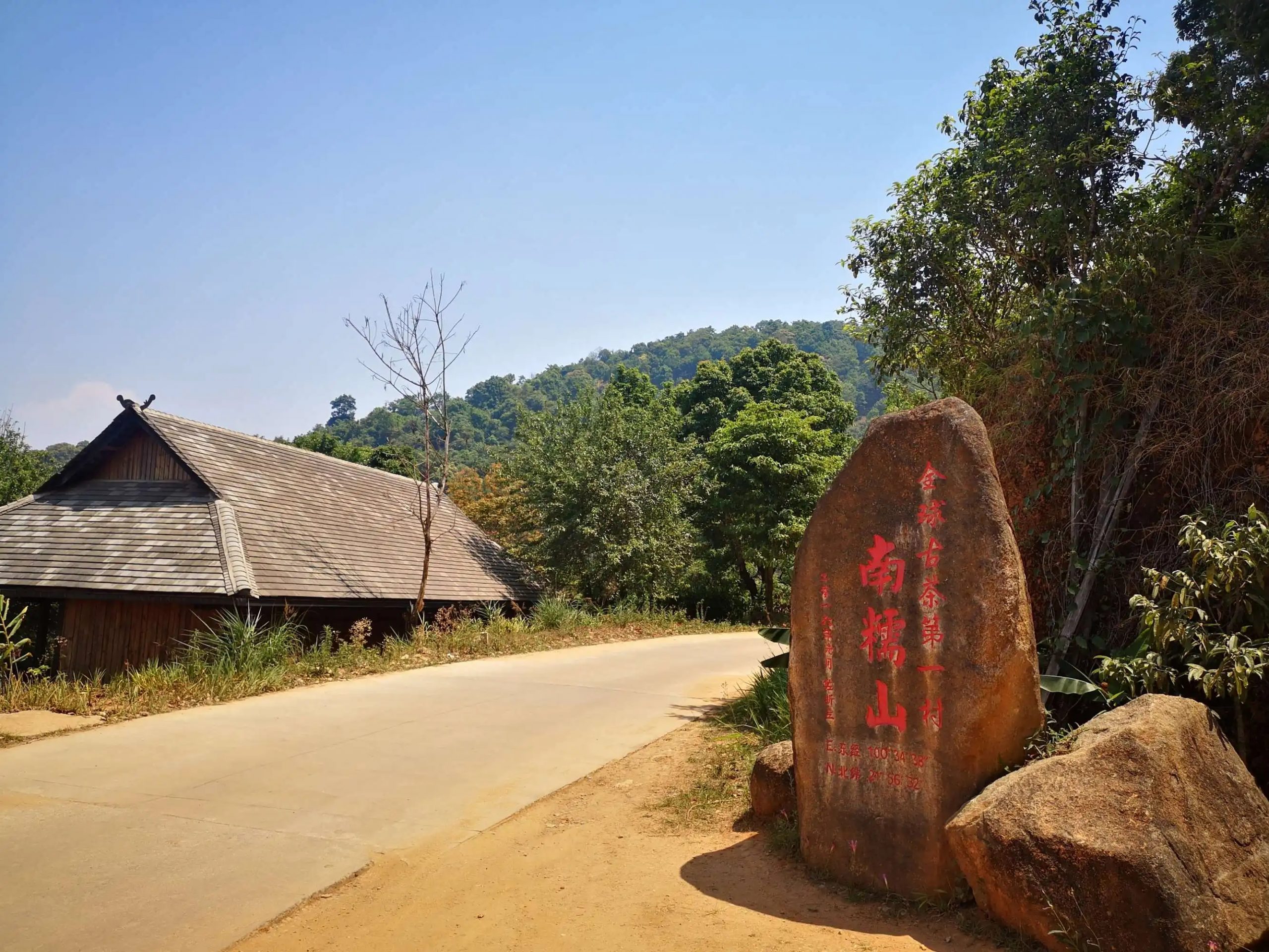 2023年南糯山古樹春茶品質(zhì)怎么樣？