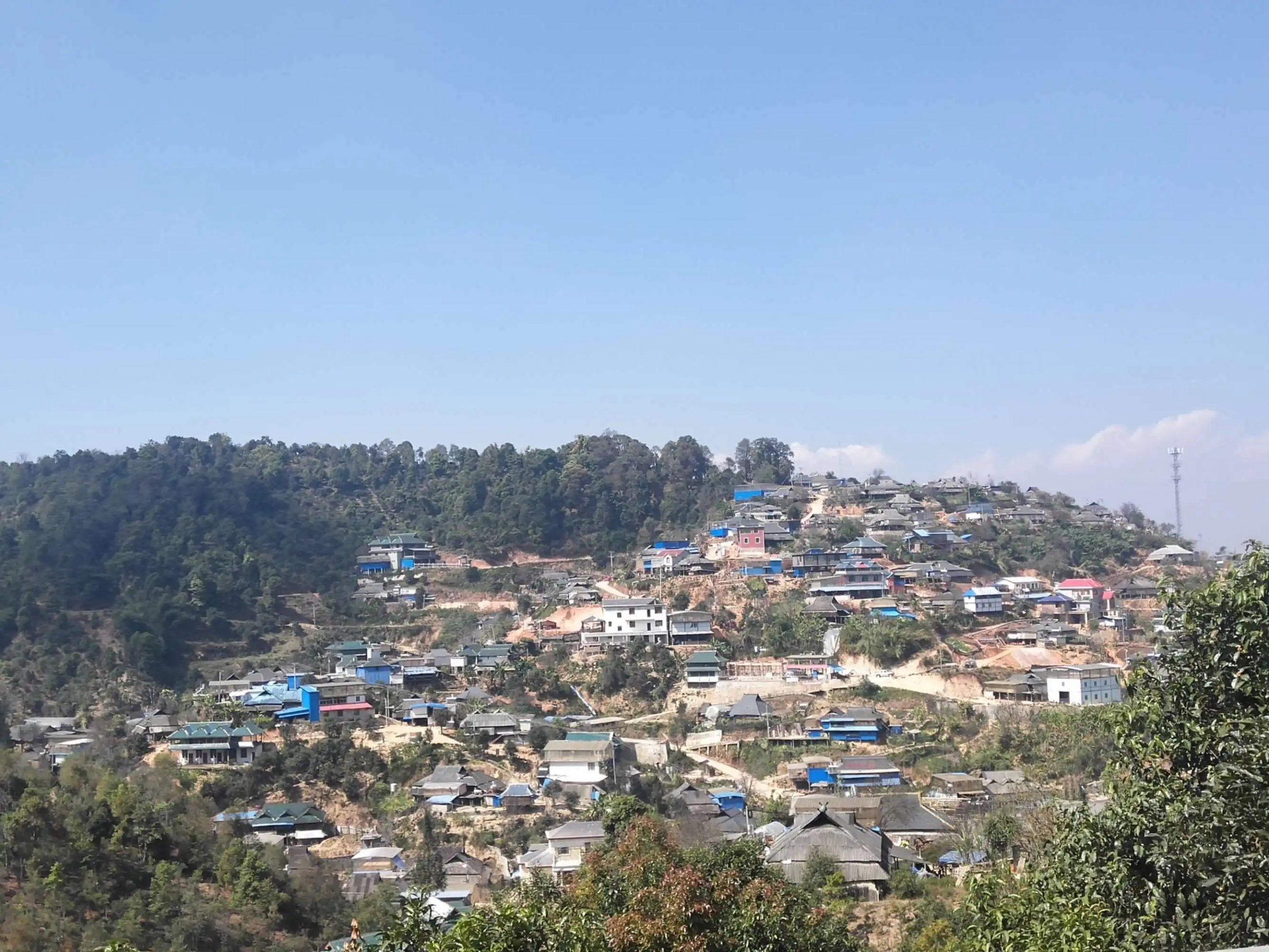 2023年帕沙古樹(shù)春茶品質(zhì)如何？