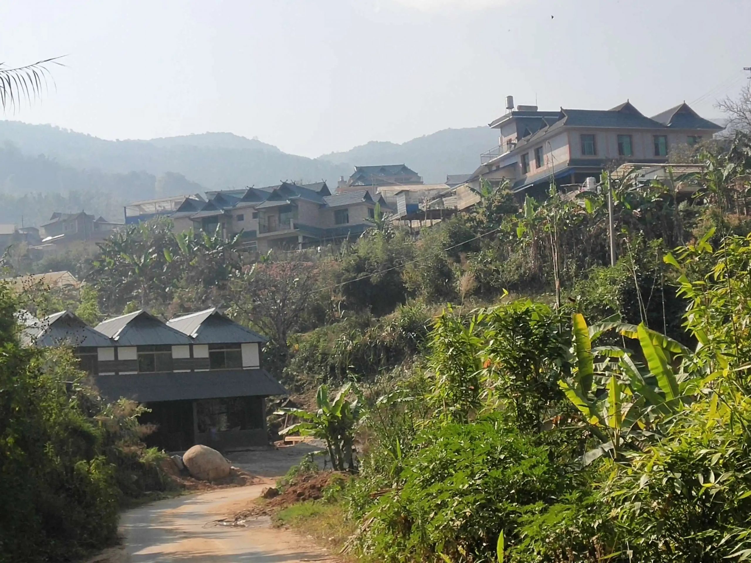 2023年帕沙古樹春茶價(jià)格多少錢？