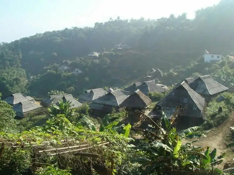 2023年帕沙古樹春茶多少一公斤？