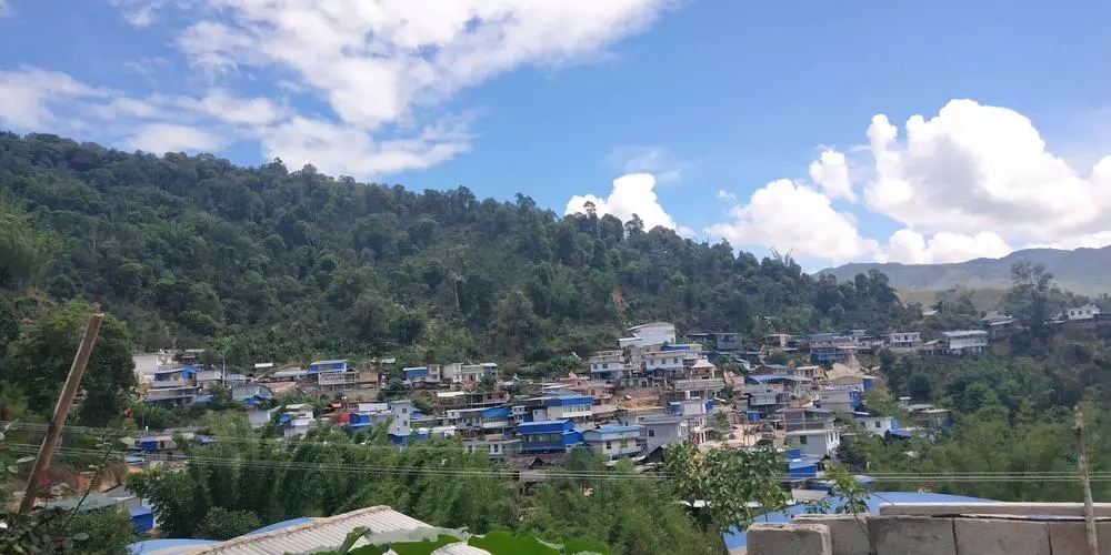 2023年那卡古樹(shù)春茶品質(zhì)如何？