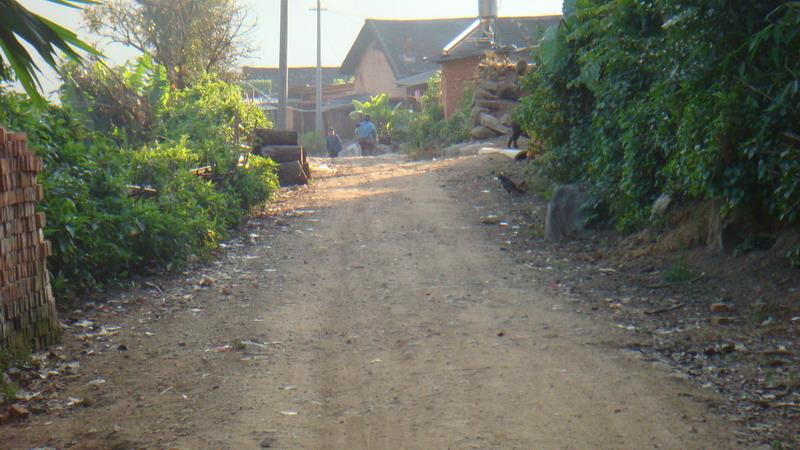 2023年保塘老寨古樹春茶價格是多少？