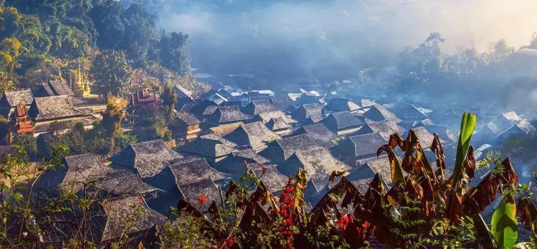 2023年景邁古樹春茶品質(zhì)如何？