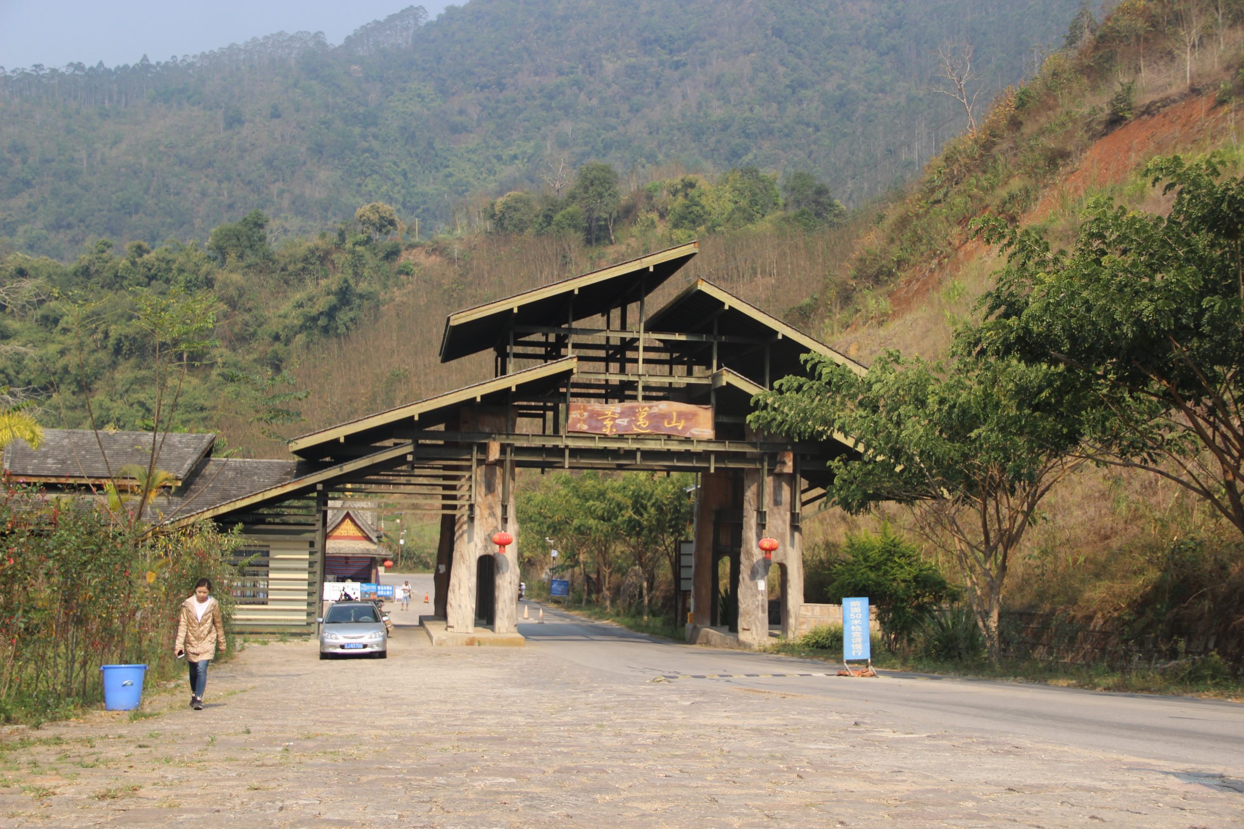 2023年景邁古樹(shù)春茶口感如何？