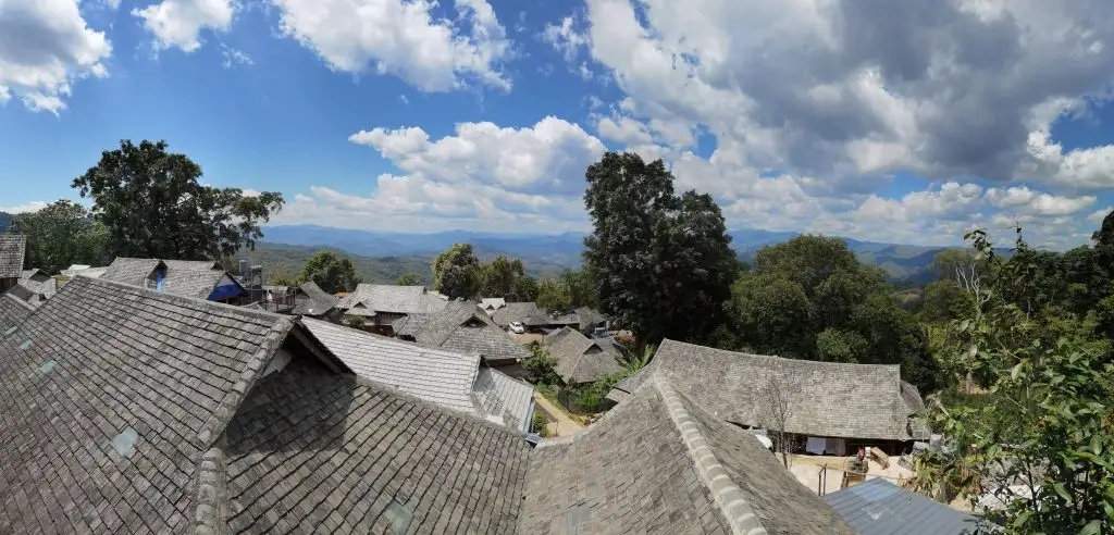 2023年景邁古樹春茶價格是多少？