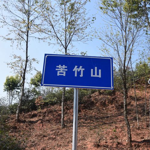 2023年苦竹山古樹春茶品質(zhì)如何？