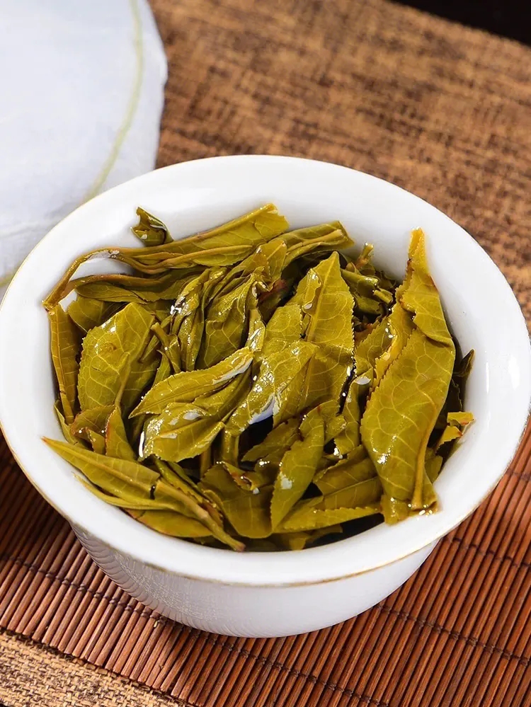 2023白鶯山古樹春茶特點是什么？