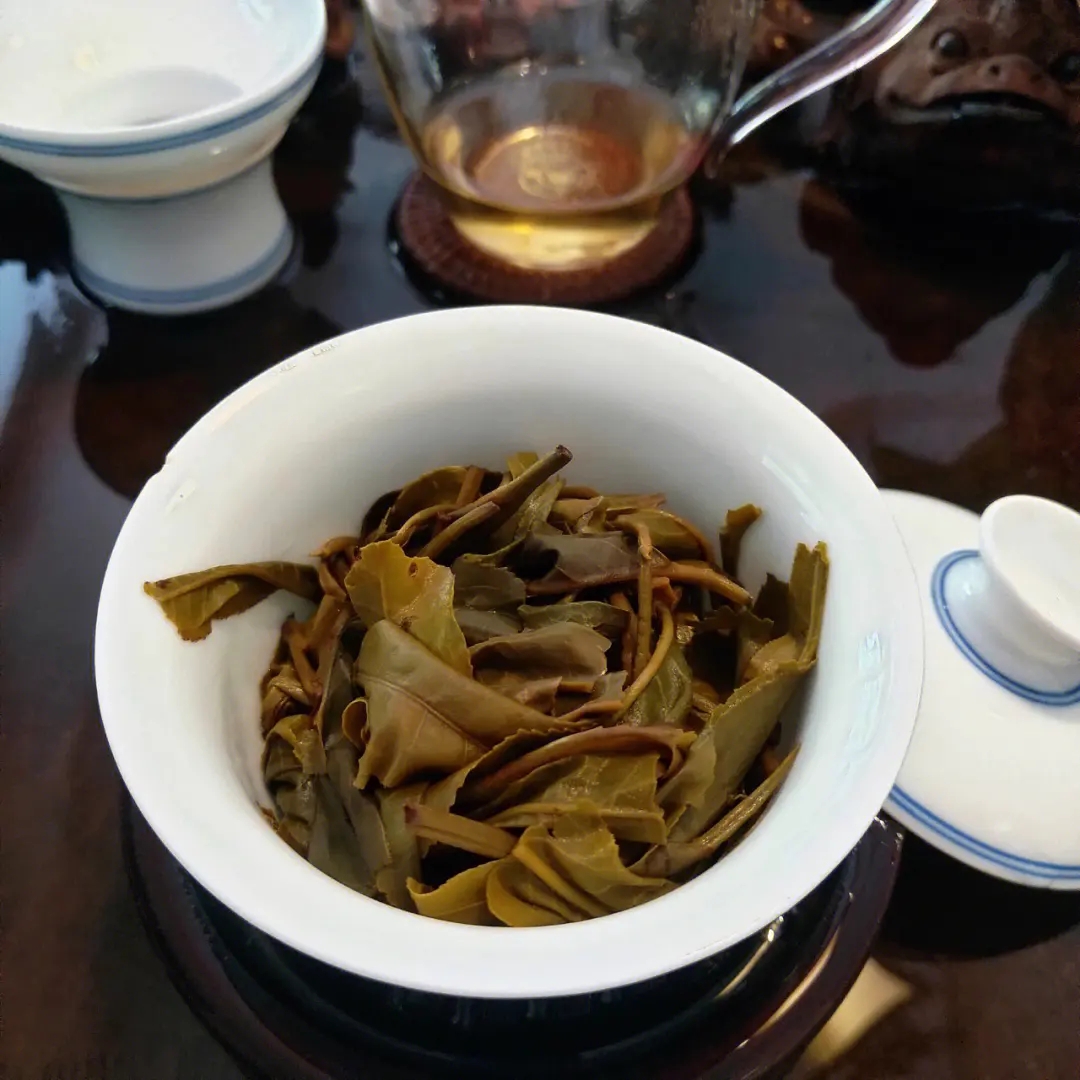 2023年昔歸古樹春茶口感如何？