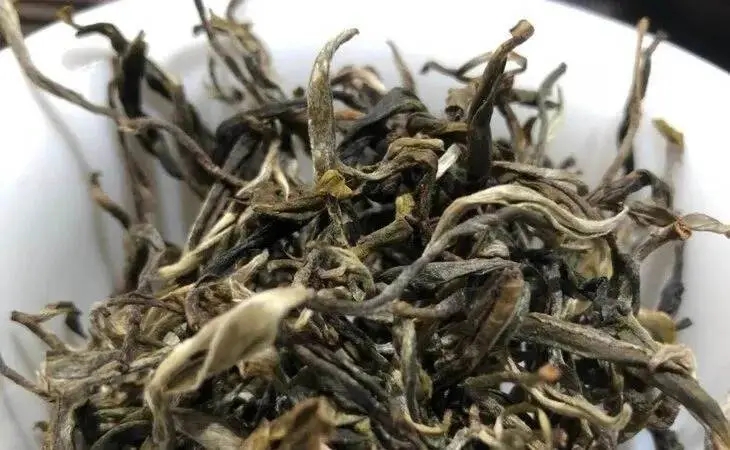 2023年鳳凰窩古樹春茶多少一公斤？