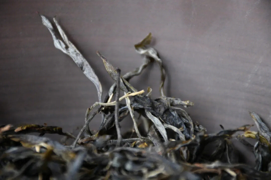 2023年正氣塘古樹春茶多少一公斤？