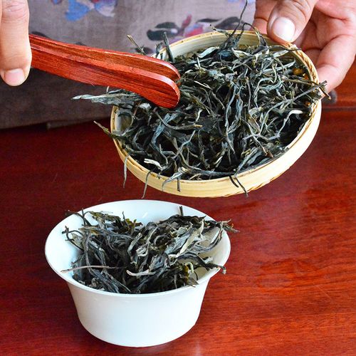 2023年地界古樹(shù)春茶口感是什么？