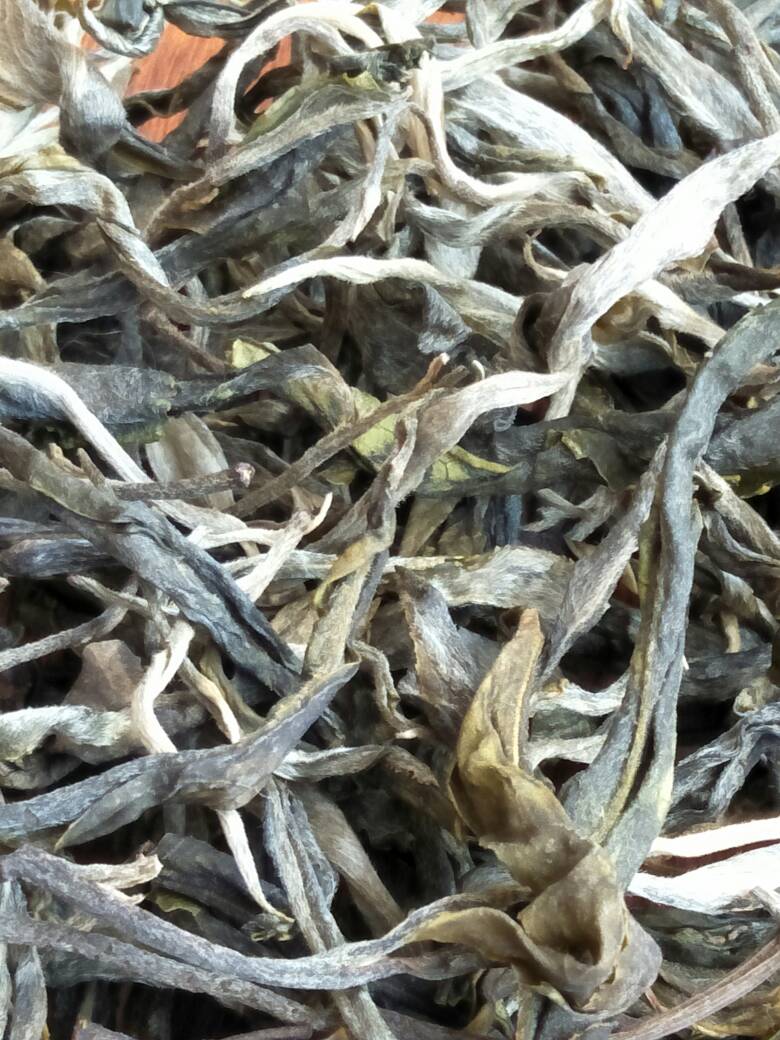 2023年壩歪古樹(shù)春茶價(jià)格是多少？