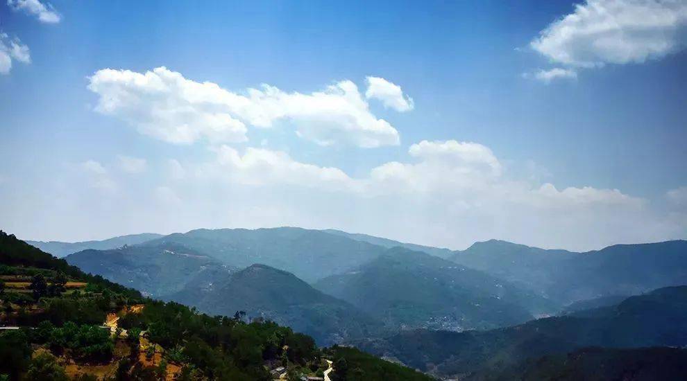 2023年勐庫(kù)大忠山古樹(shù)春茶價(jià)格是多少？