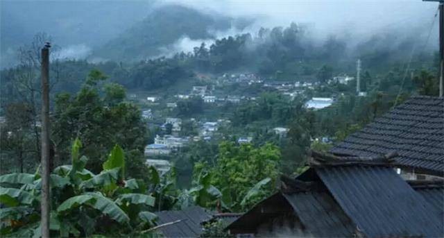 2023年勐庫(kù)豆腐寨古樹(shù)春茶口感怎么樣？