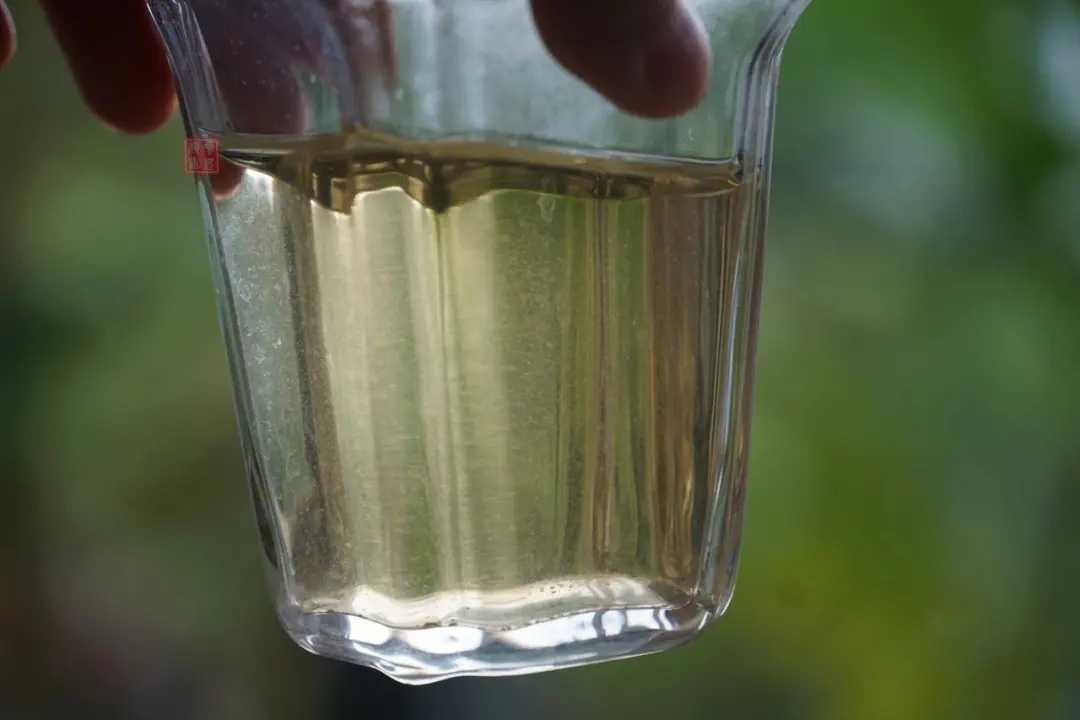 2023年多依樹(shù)古樹(shù)春茶價(jià)格是多少？