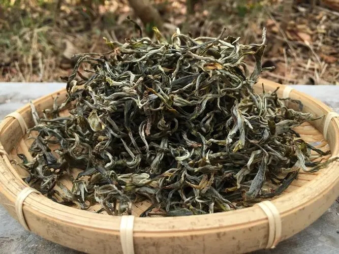 2023年易武張家灣古樹春茶品質(zhì)如何？