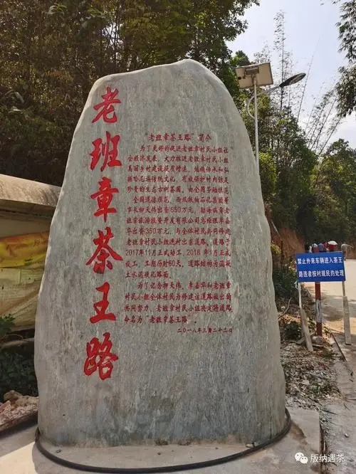 2024年老班章古樹春茶品質(zhì)如何？