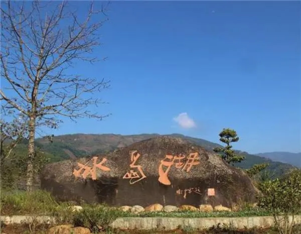 2024年冰島老寨古樹春茶品質(zhì)怎么樣？