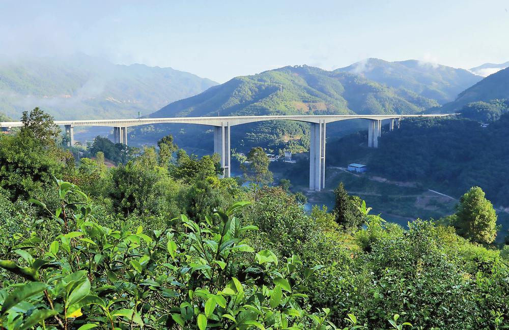 2024年昔歸古樹春茶品質(zhì)如何？