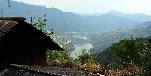 2024年磨烈古樹春茶價(jià)格多少？