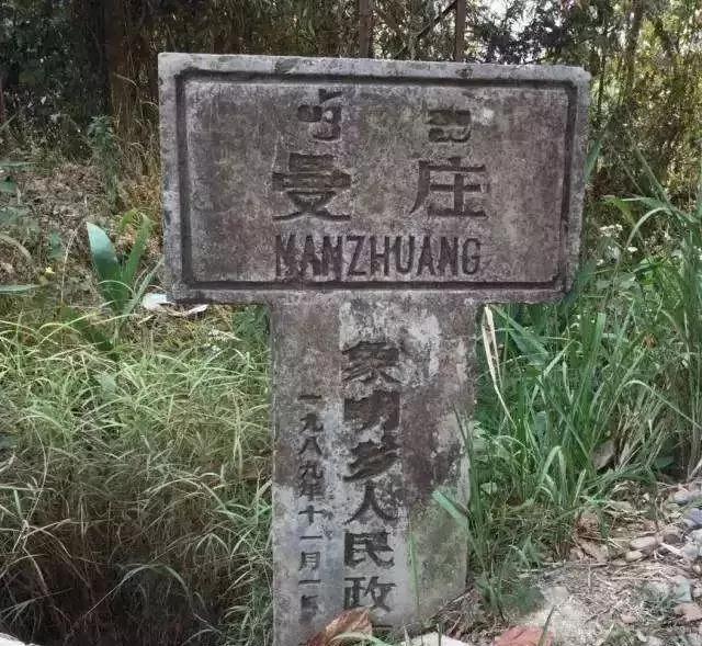 2025年蠻磚古樹春茶價(jià)格是多少？